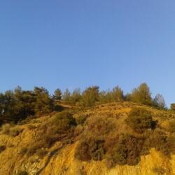 Land For Sale In Ag Ioannis With Beautiful Views Of Troodos Forest